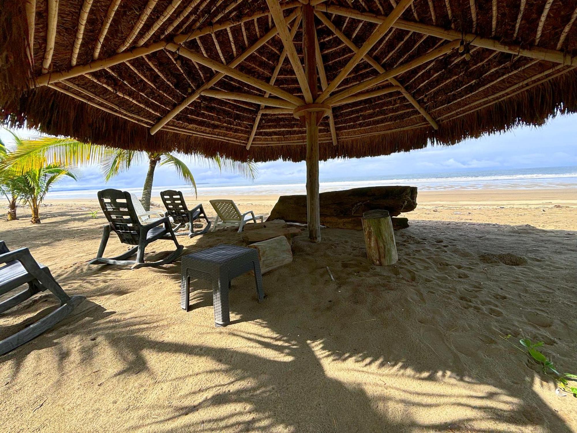 CabreraRoyal Palm Retreatアパートメント エクステリア 写真
