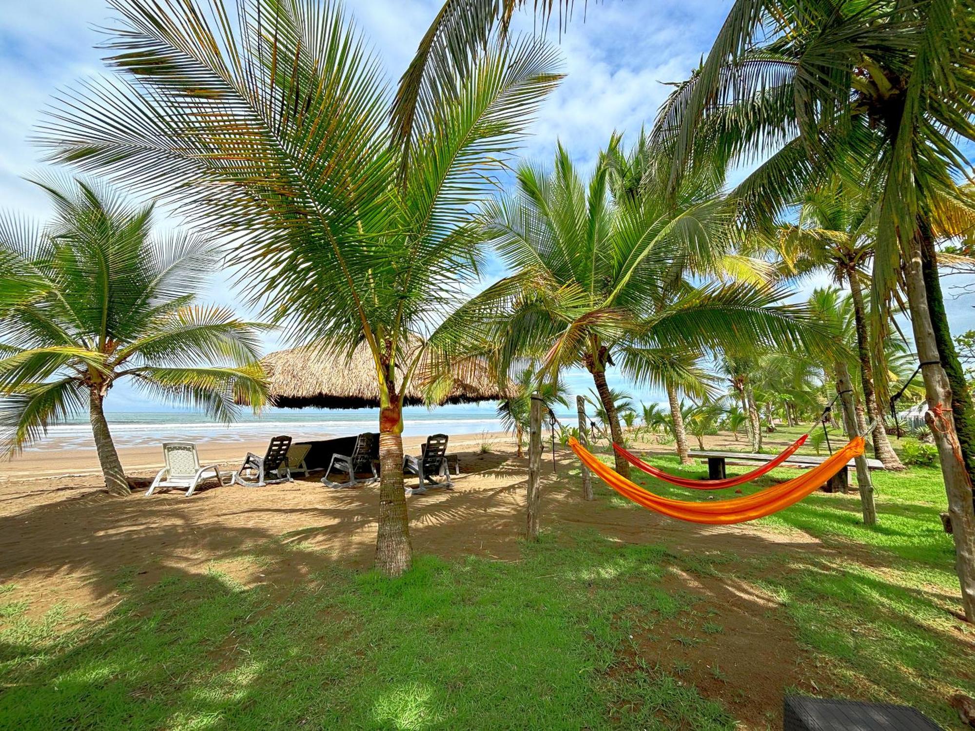 CabreraRoyal Palm Retreatアパートメント エクステリア 写真